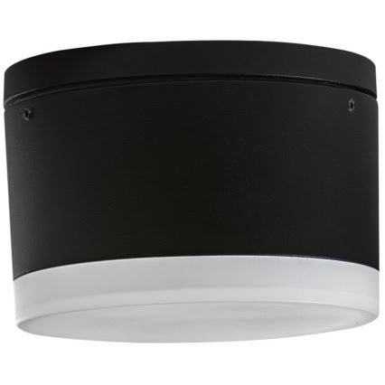 Azzardo AZ4333 - LED Plafondlamp voor buiten APULIA LED/10W/230V IP54