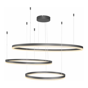 Azzardo AZ4707 - LED-kroonluchter aan kabel HALO LED/130W/230V zwart