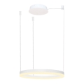 Azzardo AZ4967 - LED dimbare hanglamp aan kabel HALO LED/47W/230V Ø 60 cm wit