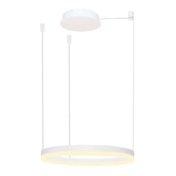 Azzardo AZ4967 - LED dimbare hanglamp aan kabel HALO LED/47W/230V Ø 60 cm wit
