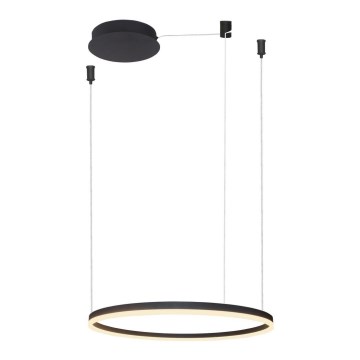 Azzardo AZ4968 - LED dimbare hanglamp aan kabel HALO LED/47W/230V Ø 60 cm zwart