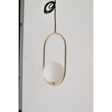 Azzardo AZ4981 - Hanglamp aan een koord COCO 1xG9/50W/230V