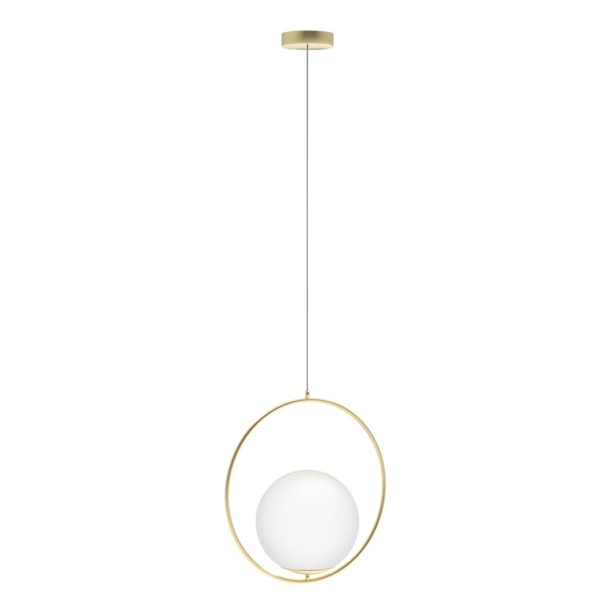 Azzardo AZ4983 - Hanglamp aan een koord JUMBO 1xG9/50W/230V goud