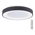 Azzardo AZ4991 - LED dimbare plafondlamp SANTANA LED/50W/230V zwart + afstandsbediening