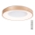 Azzardo AZ4992 - LED dimbare plafondlamp SANTANA LED/50W/230V goud + afstandsbediening