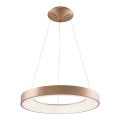 Azzardo AZ5000 - LED-lampenkroon aan kabel SANTANA LED/30W/230V goudkleurig