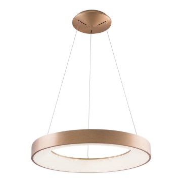 Azzardo AZ5000 - LED-lampenkroon aan kabel SANTANA LED/30W/230V goudkleurig