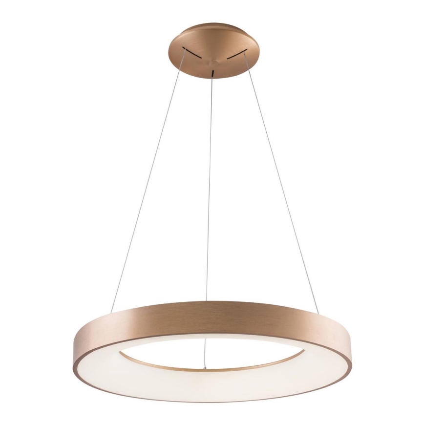 Azzardo AZ5000 - LED-lampenkroon aan kabel SANTANA LED/30W/230V goudkleurig