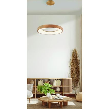 Azzardo AZ5006 - LED Hanglamp aan een koord SANTANA LED/30W/230V bruin