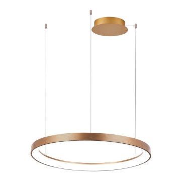 Azzardo AZ5017 - Dimbare LED hanglamp aan een koord AGNES LED/38W/230V diameter 48 cm goud