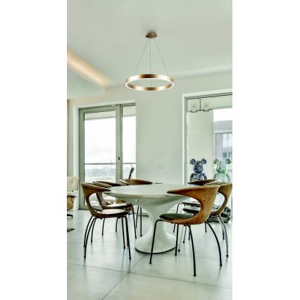 Azzardo AZ5045 - Dimbare LED hanglamp aan een koord MARCO LED/50W/230V goud + afstandsbediening