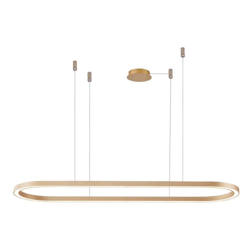 Azzardo AZ5056 - Dimbare LED hanglamp aan een koord ELENA LED/50W/230V 120 cm goud