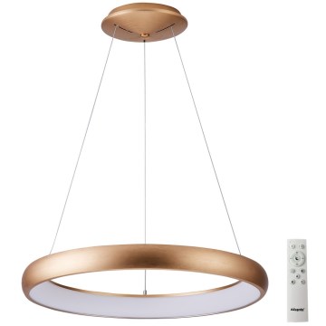 Azzardo AZ5067 - Dimbare LED hanglamp aan een koord ANTONIO LED/80W/230V goud + afstandsbediening