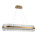 Azzardo AZ5263 - LED Hanglamp aan een koord FRANCESCA LED/64W/230V 100 cm