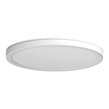 Azzardo AZ5367 - LED dimbare plafondlamp PANKA LED/24W/230V IP40 wit