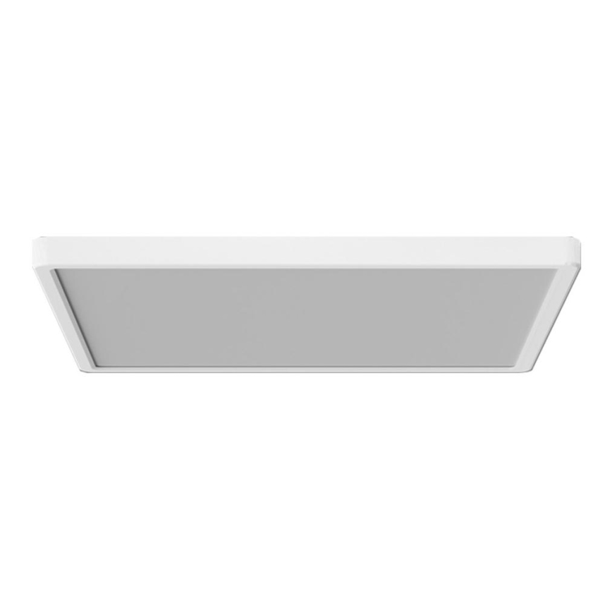 Azzardo AZ5373 - LED dimbare plafondlamp PANKA LED/45W/230V IP40 wit