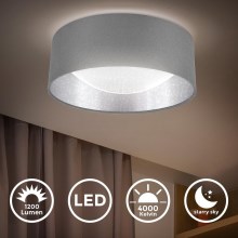 B.K. Licht 1308 - LED Plafond Lamp LED/12W/230V