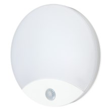 Badkamer LED Wand Lamp met Sensor ORBIS LED/10W/230V IP44