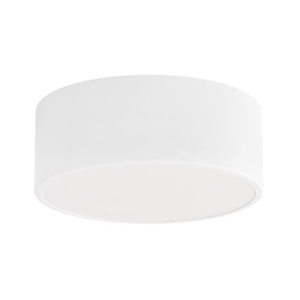 Badkamer plafondlamp CLEO 1xE27/24W/230V diameter 20 cm wit IP54