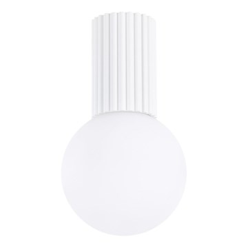 Badkamer plafondlamp HALO 1xG9/8W/230V diameter 12 cm IP44 wit