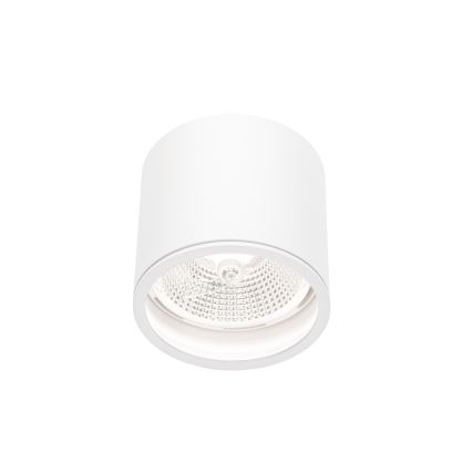 Badkamer spot CHLOE AR111 1xGU10/12W/230V IP65 rond wit