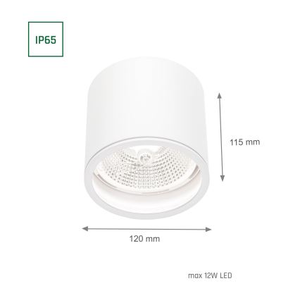 Badkamer spot CHLOE AR111 1xGU10/12W/230V IP65 rond wit