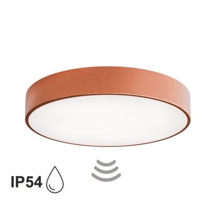Plafondlamp voor badkamer met sensor CLEO 4xE27/24W/230V pr. 50 cm IP54 koperen