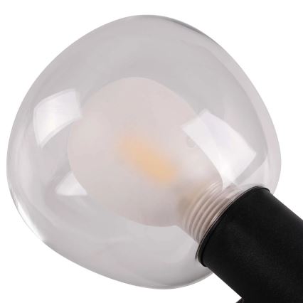 Badkamerwandlamp POLA 2xG9/5W/230V IP44 zwart/helder