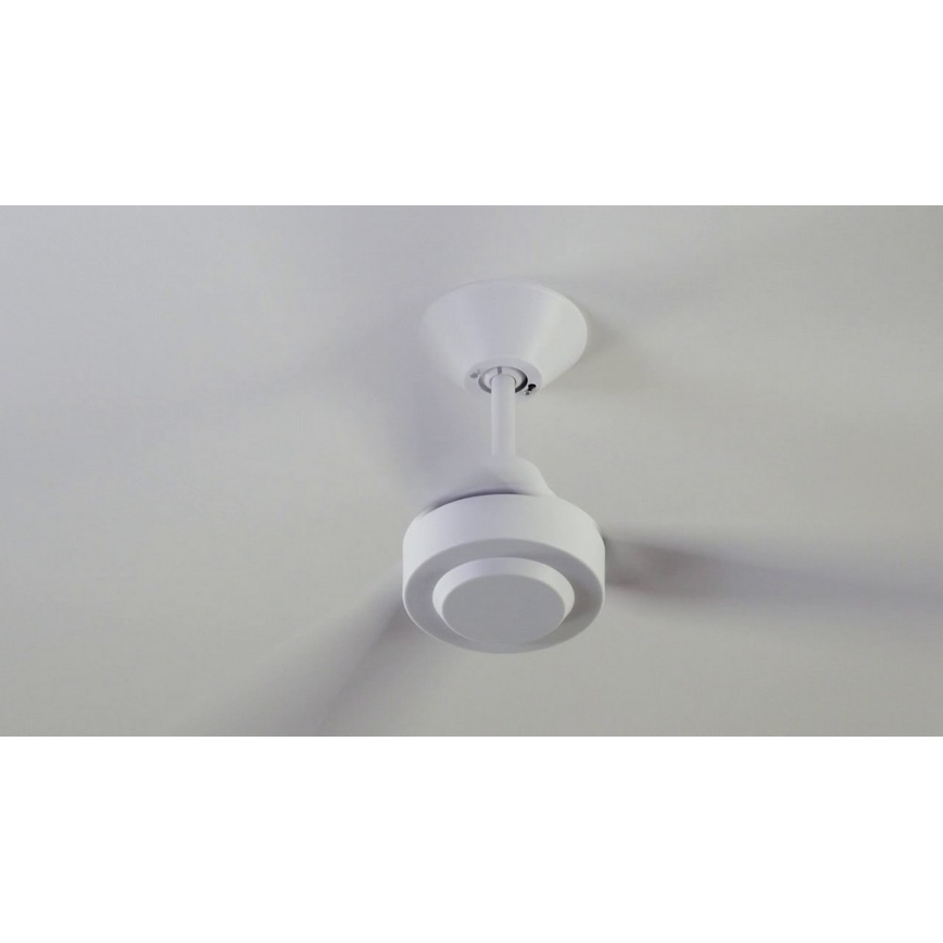 BAYSIDE 213015 - Plafondventilator CALYPSO wit