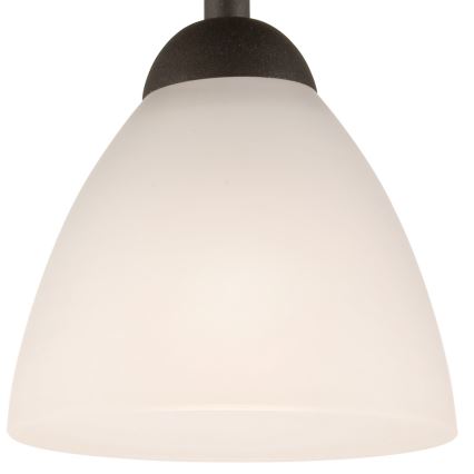 Bevestigde hanglamp ADRIANO 1xE27/60W/230V beuken