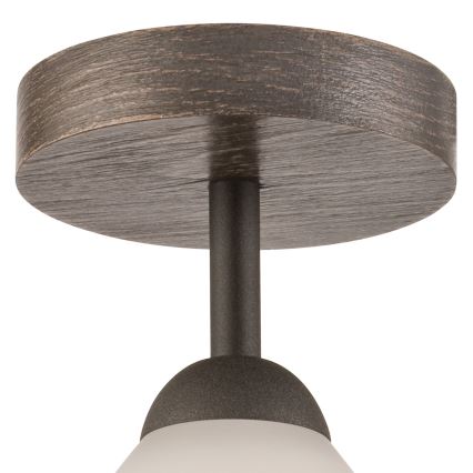 Bevestigde hanglamp ADRIANO 1xE27/60W/230V beuken