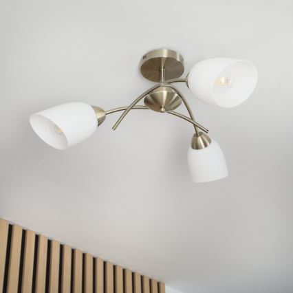Bevestigde hanglamp DONNA 3xE27/60W/230V patina
