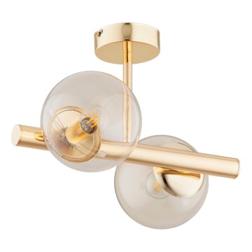 Bevestigde hanglamp ERAL 2xE14/40W/230V