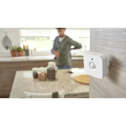 Bewegingssensor Philips Hue 2xAAA IP42