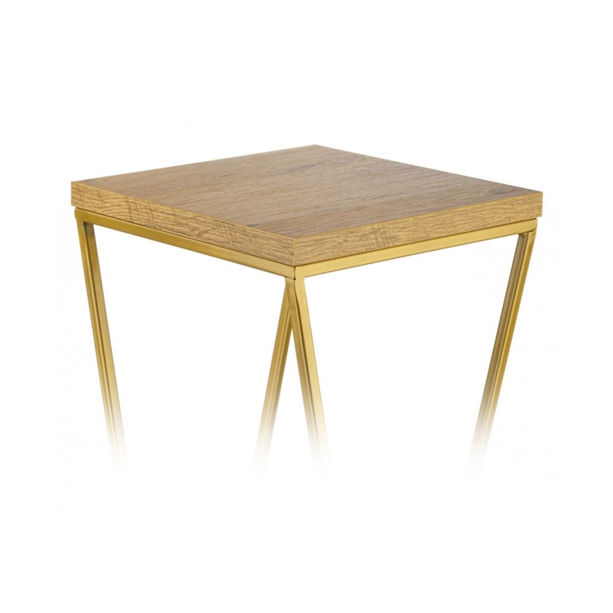 Bloemen/Planten standaard LOFT 70x24 cm goud/bruin