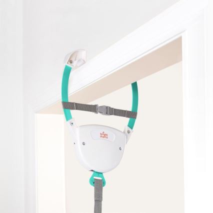 Bright Starts - Springstoel voor in de deuropening PLAYFUL PARADE