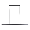 Brilagi - AXIS LED-hanglamp aan kabel LED/30W/230V 120 cm zwart