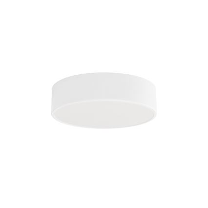 Brilagi - Badkamer plafondlamp CLARE 2xE27/24W/230V diameter 30 cm wit IP54