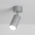 Brilagi - Badkamer spot SELE 1xGU10/30W/230V IP44 zilver