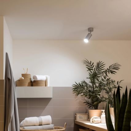 Brilagi - Badkamer spot SELE 1xGU10/30W/230V IP44 zilver