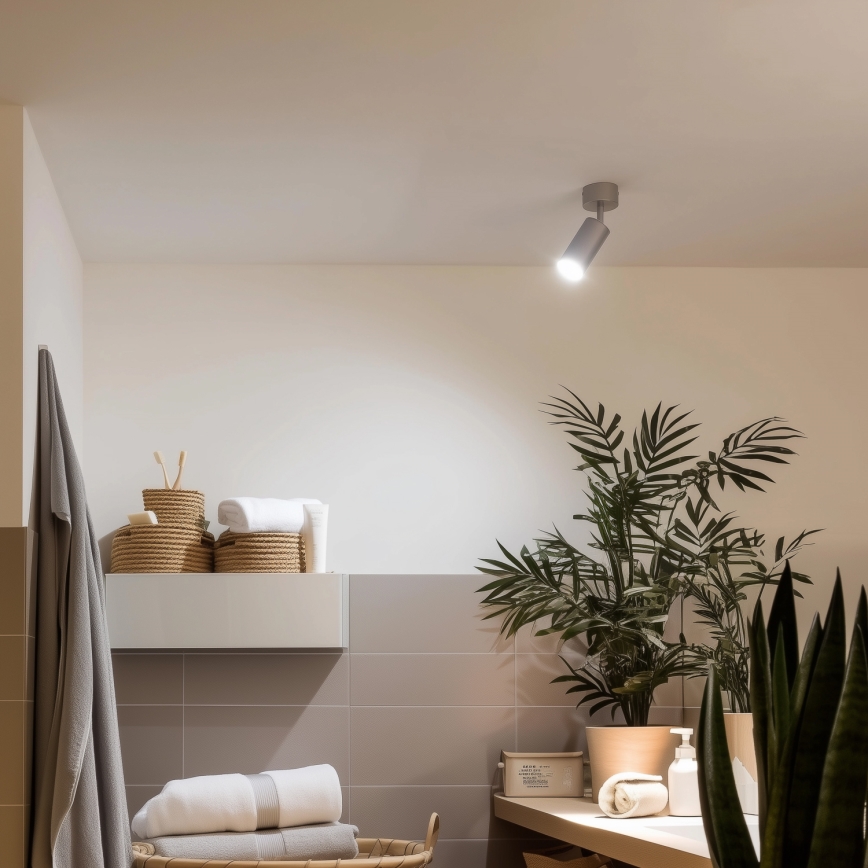 Brilagi - Badkamer spot SELE 1xGU10/30W/230V IP44 zilver