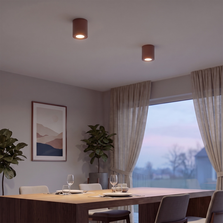BRILAGI - Badkamer spotlamp MIA 1xGU10/30W/230V 84x80 mm bruin IP54