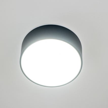 Brilagi - Badkamerplafondlamp POOL 2xE27/15W/230V Ø 30 cm IP54 zwart