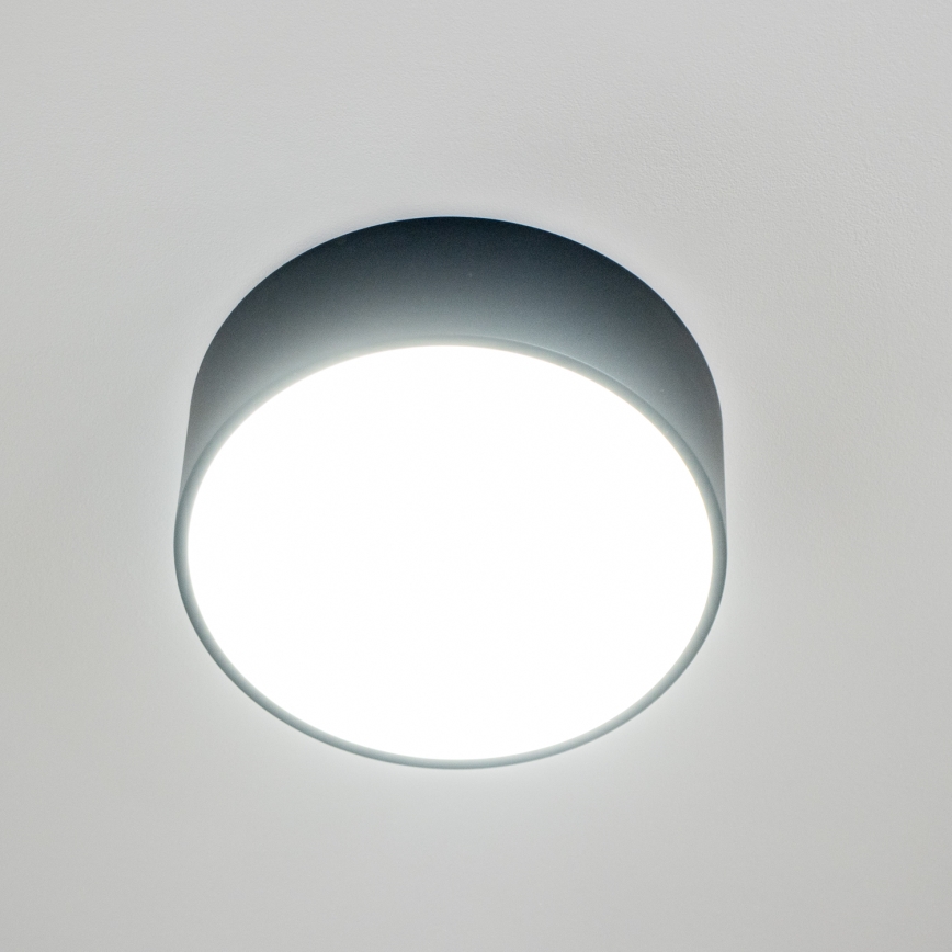 Brilagi - Badkamerplafondlamp POOL 2xE27/15W/230V Ø 30 cm IP54 zwart