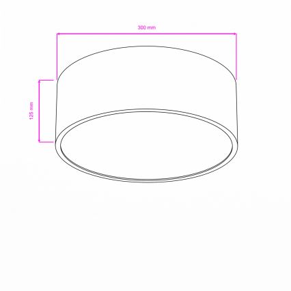 Brilagi - Badkamerplafondlamp POOL 2xE27/15W/230V Ø 30 cm IP54 zwart