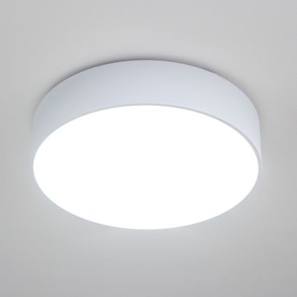 Brilagi - Badkamerplafondlamp POOL 4xE27/15W/230V Ø 50 cm IP54 wit