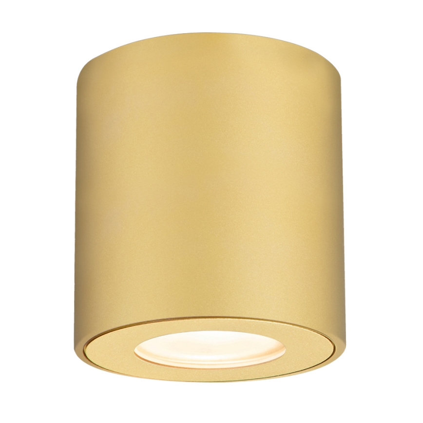 Brilagi - Badkamerspot MIA 1xGU10/30W/230V 84x80 mm goud IP54