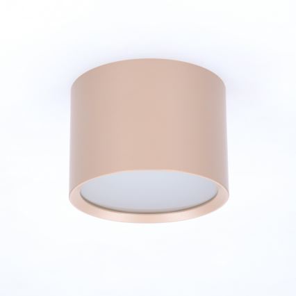BRILAGI - Badkamerspot SMOOTH 1xGX53/15W/230V 60x82 mm beige IP54