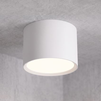 BRILAGI - Badkamerspot SMOOTH 1xGX53/15W/230V 60x82 mm wit IP54