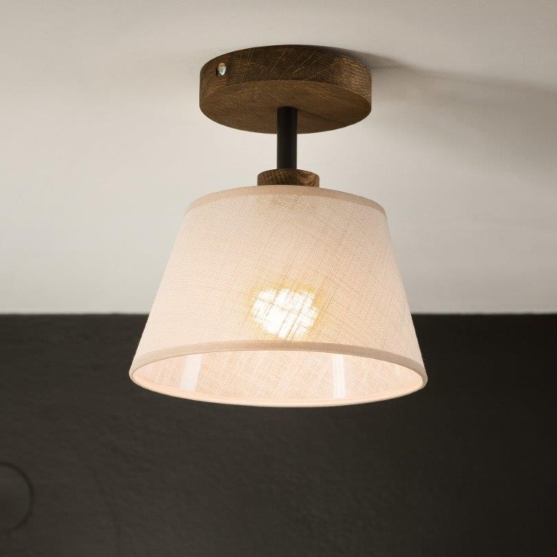 Brilagi - Bevestigde hanglamp ANTHONY 1xE14/60W/230V eiken/beige